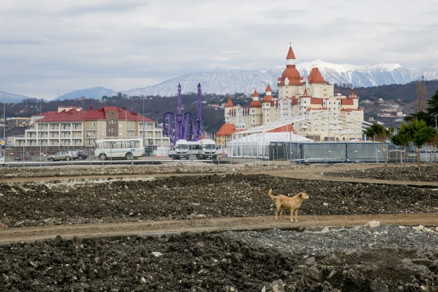 A stray dog stands in front Olympic Park as seen from the boardwalk along the Black Sea shore prior to 2014 Sochi Winter Olympic Games. Mandatory Credit: Kevin Liles-USA TODAY Sports