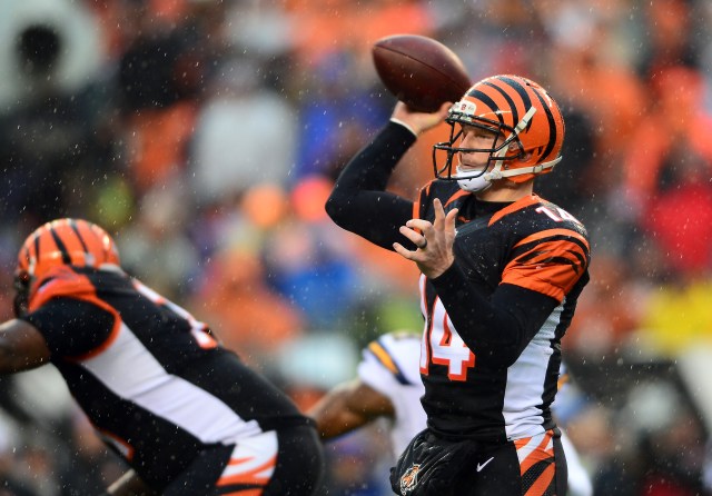Andy Dalton (Andrew Weber-USA TODAY Sports)