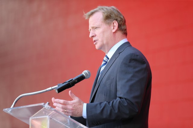 Roger Goodell (Kelley L Cox-USA TODAY Sports)