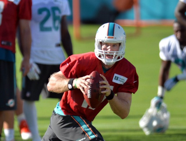If Ryan Tannehill can take the next step, the Dolphins should be a playoff team. (Steve Mitchell, USA TODAY Sports)