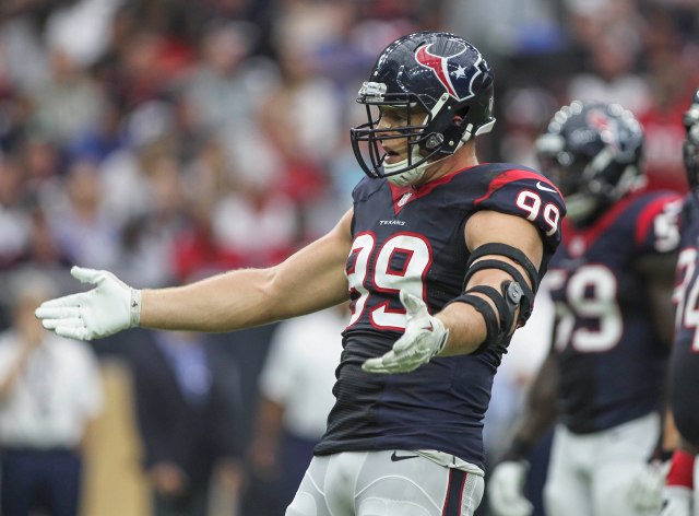 J.J. Watt is playing a level above every other player in the league. (Troy Taormina, USA TODAY Sports)