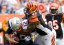 Can Geno Atkins' Bengals take down Tom Brady and Co. again? (Mark Zerof/USA TODAY Sports)