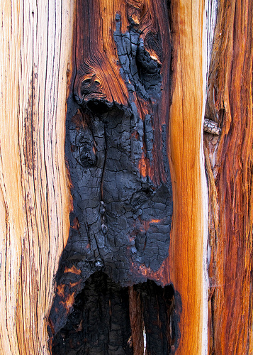 wood after lightning strike