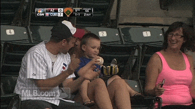 Cubs fan dad teaches young son about throwing back HR balls at Wrigley