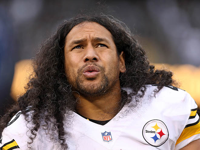 Troy Polamalu is auctioning his hair to raise money for ...