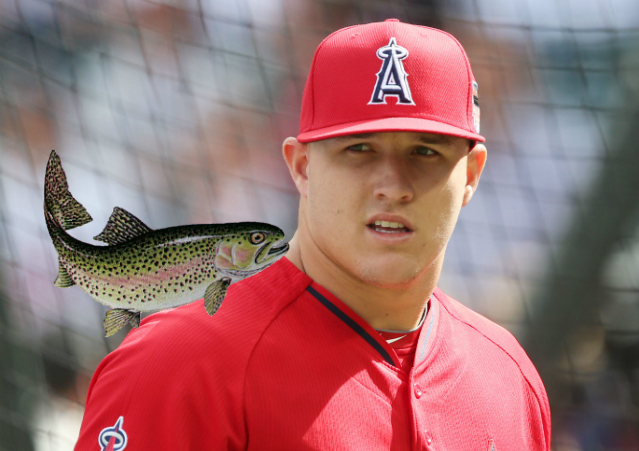 Baseball Bros on X: Mike Trout fishing with his son ❤️ https