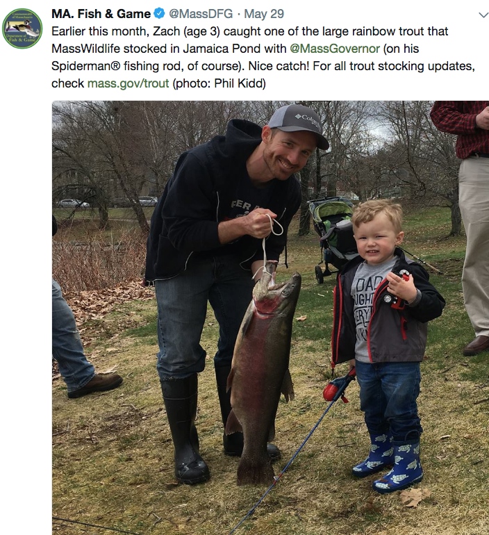 3-year-old boy lands massive trout with Spider-Man fishing pole