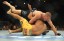 MMA: UFC 167-St-Pierre vs Hendricks