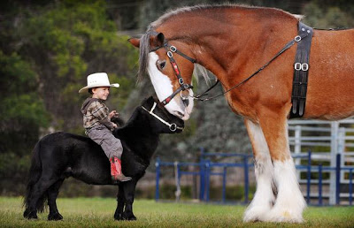 Mini Pony of the Day 8-3-09