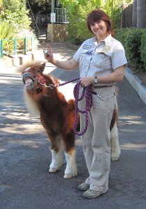 Mini Pony of the Day 7-28-09