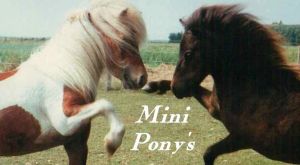 Mini Pony of the Day 1-8-09