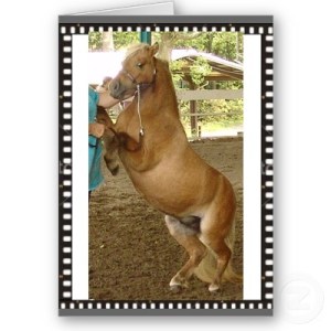 Mini Pony of the Day 6-8-09