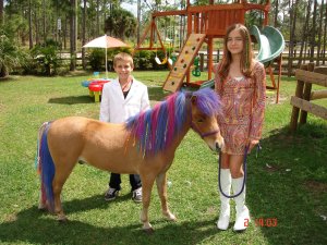 Mini Pony of the Day 10-28-08