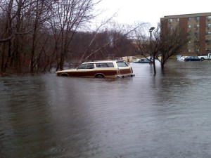 In The Middle of The Flood Zone