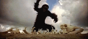 2001-monkey-big-o