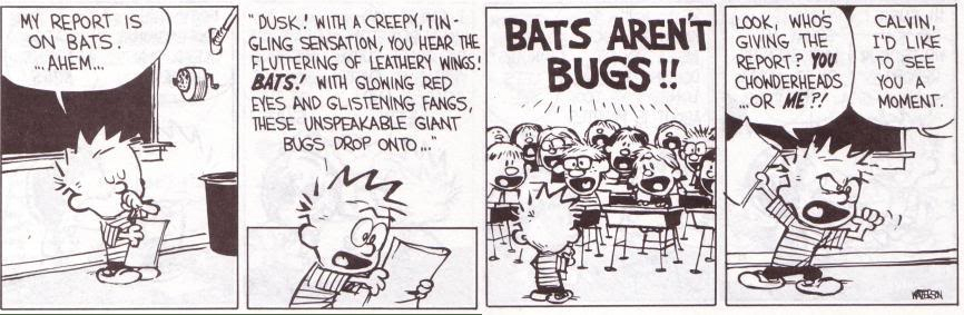 bats-arent-bugs