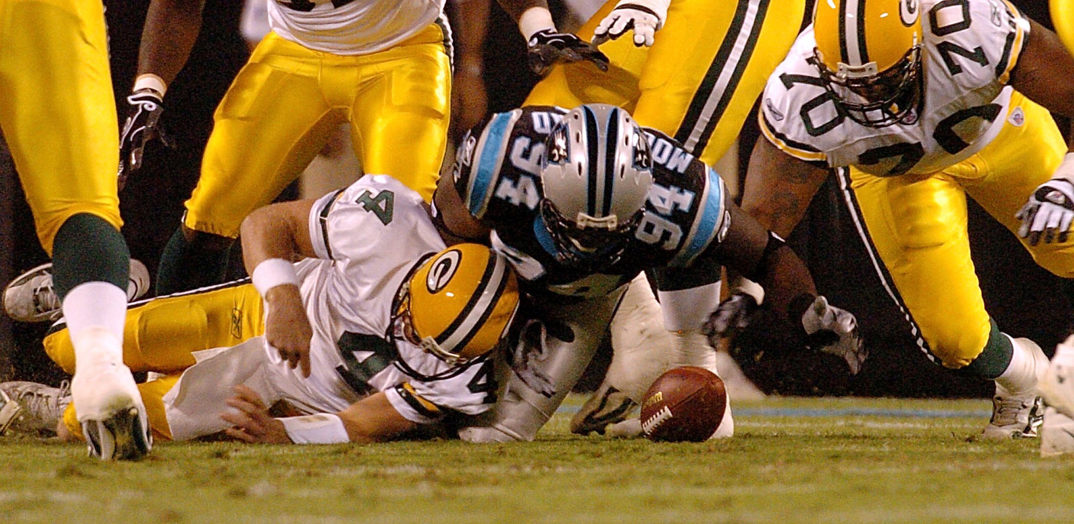 NFL Carolina Panthers Football Bank of America Stadium, Patrick Schneider