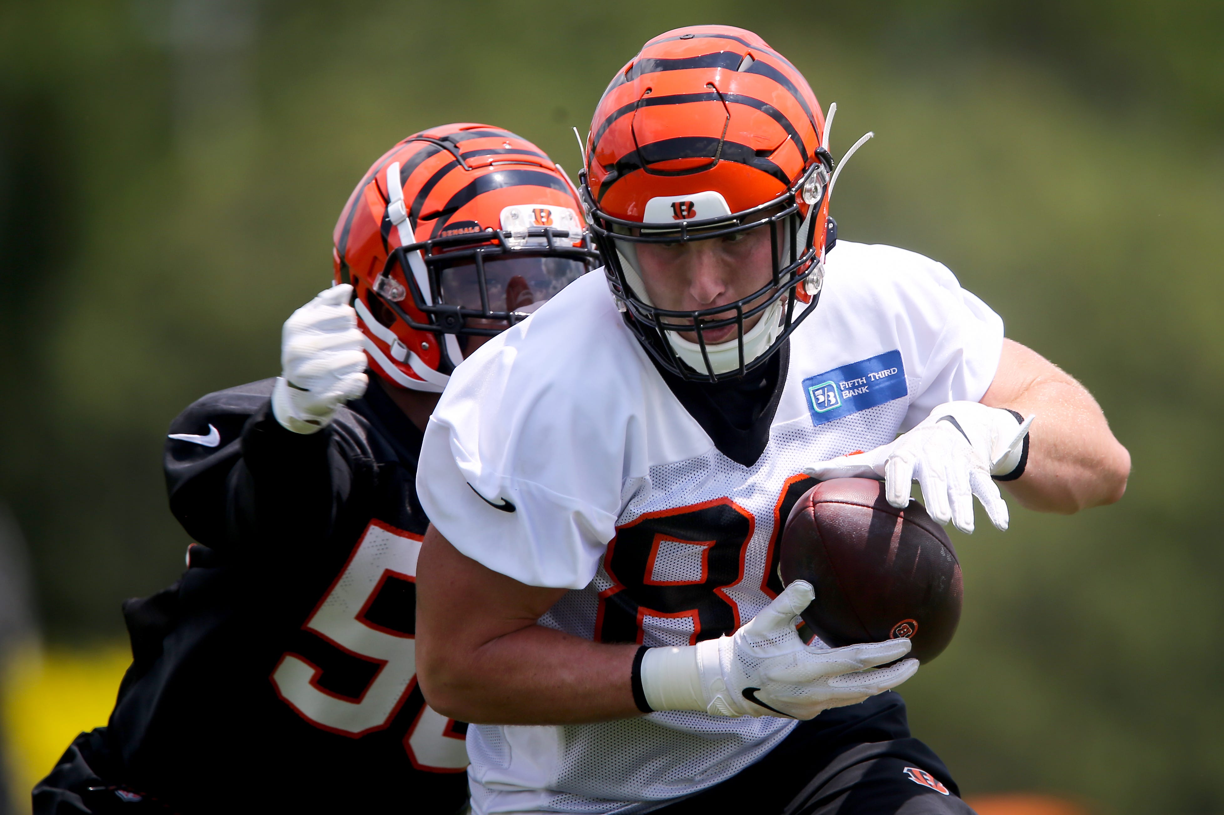 Cincinnati Bengals tight end Drew Sample (89) lines up for the