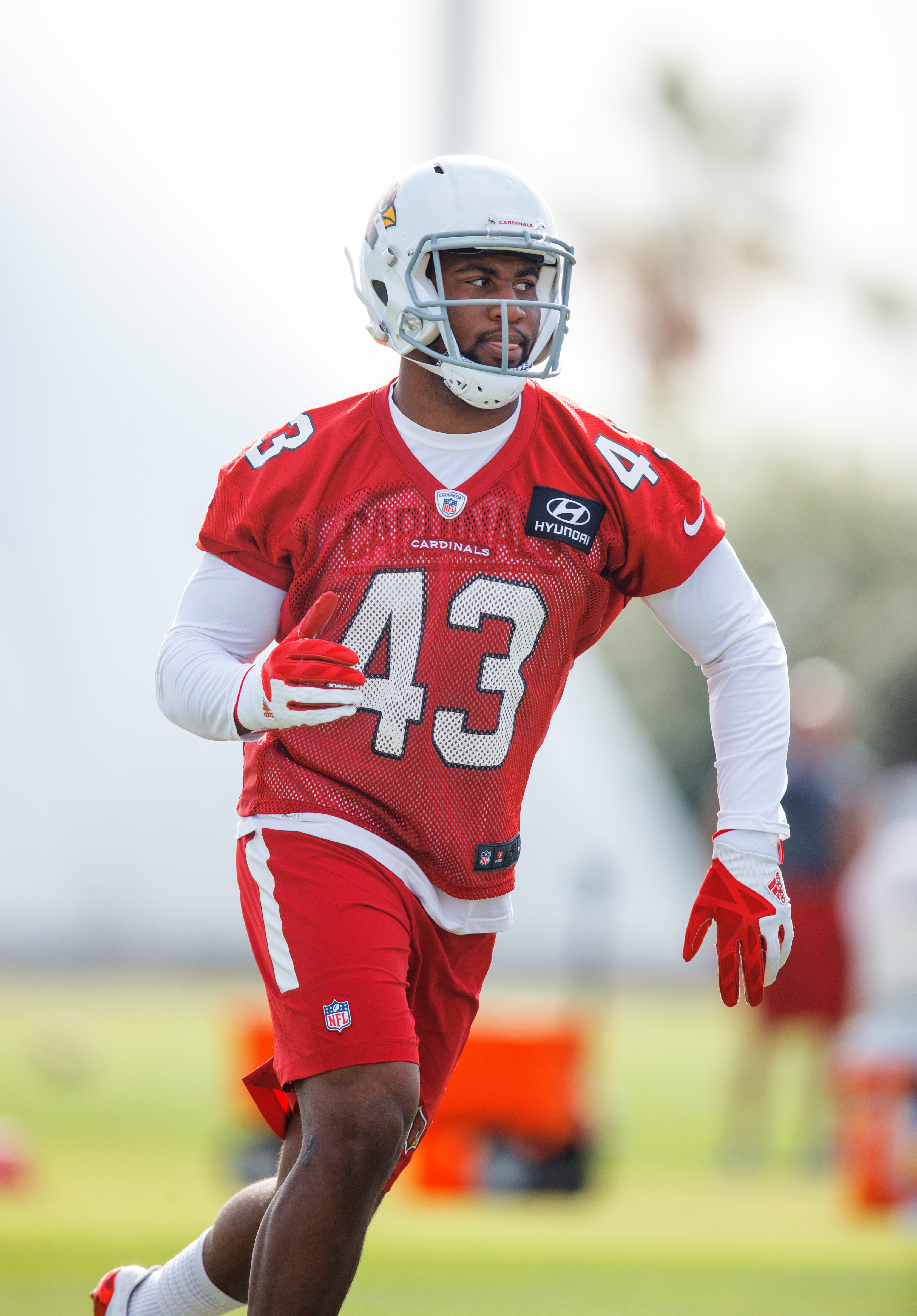 AZ Cardinals depth chart: 4 takeaways from first depth chart of camp