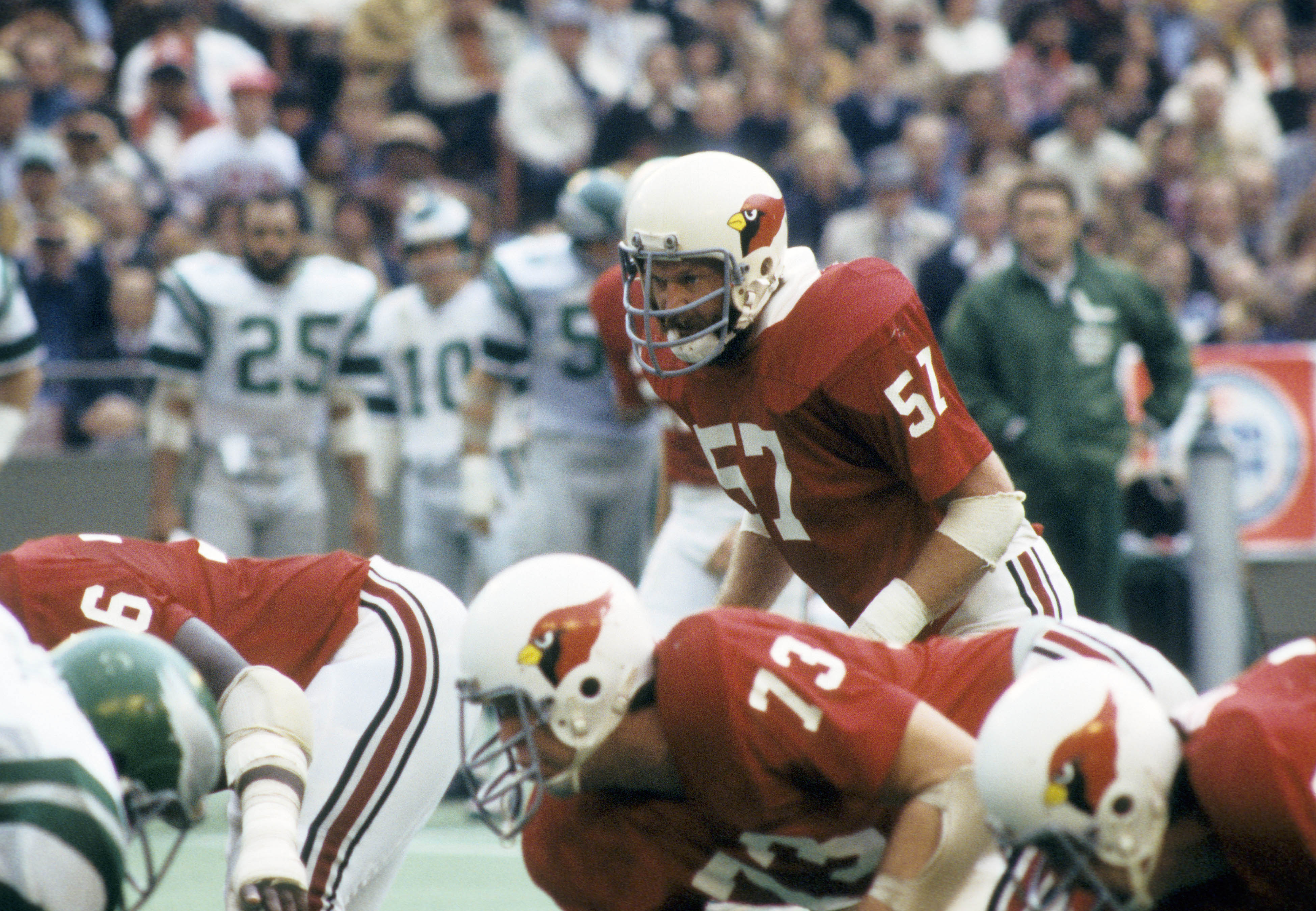 1977 St. Louis Football Cardinals 