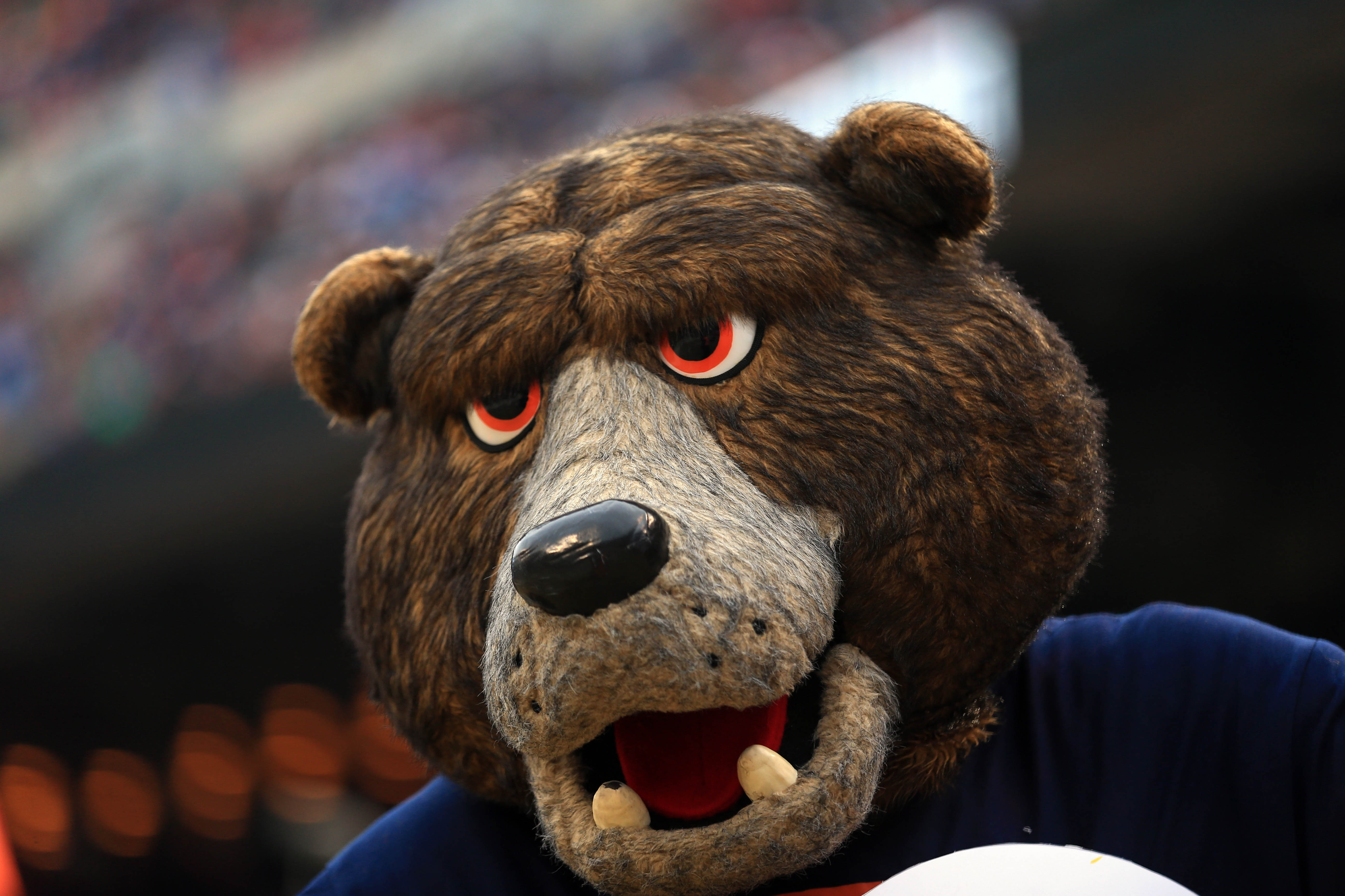 Chicago Bears mascot Staley Da Bear holds up a sign during the