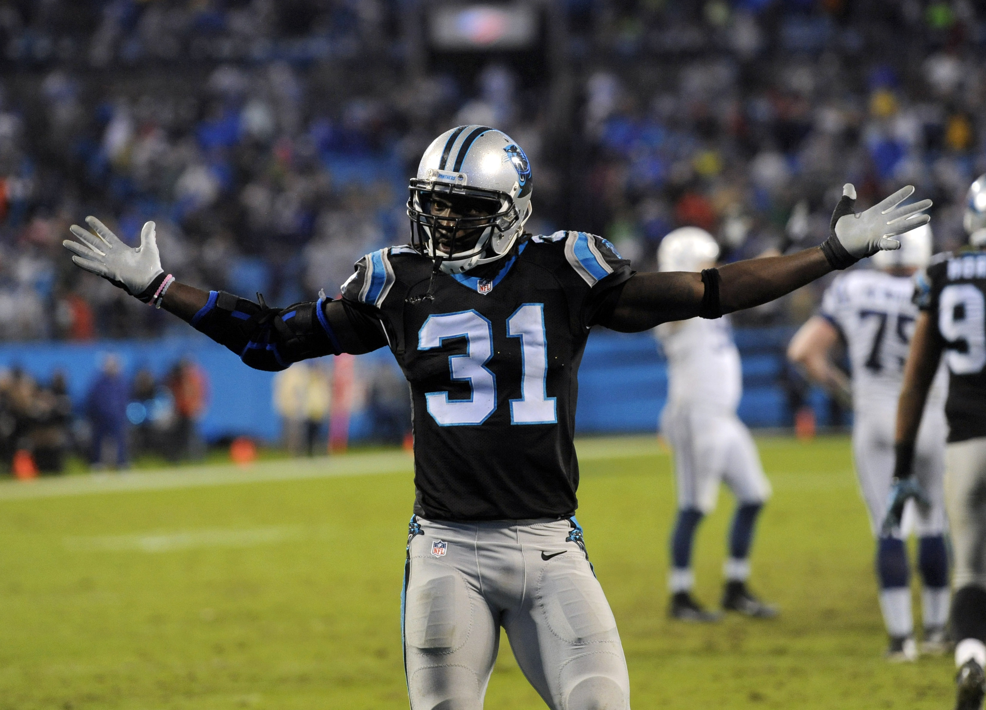 Carolina Panthers - 2015 Season Recap 