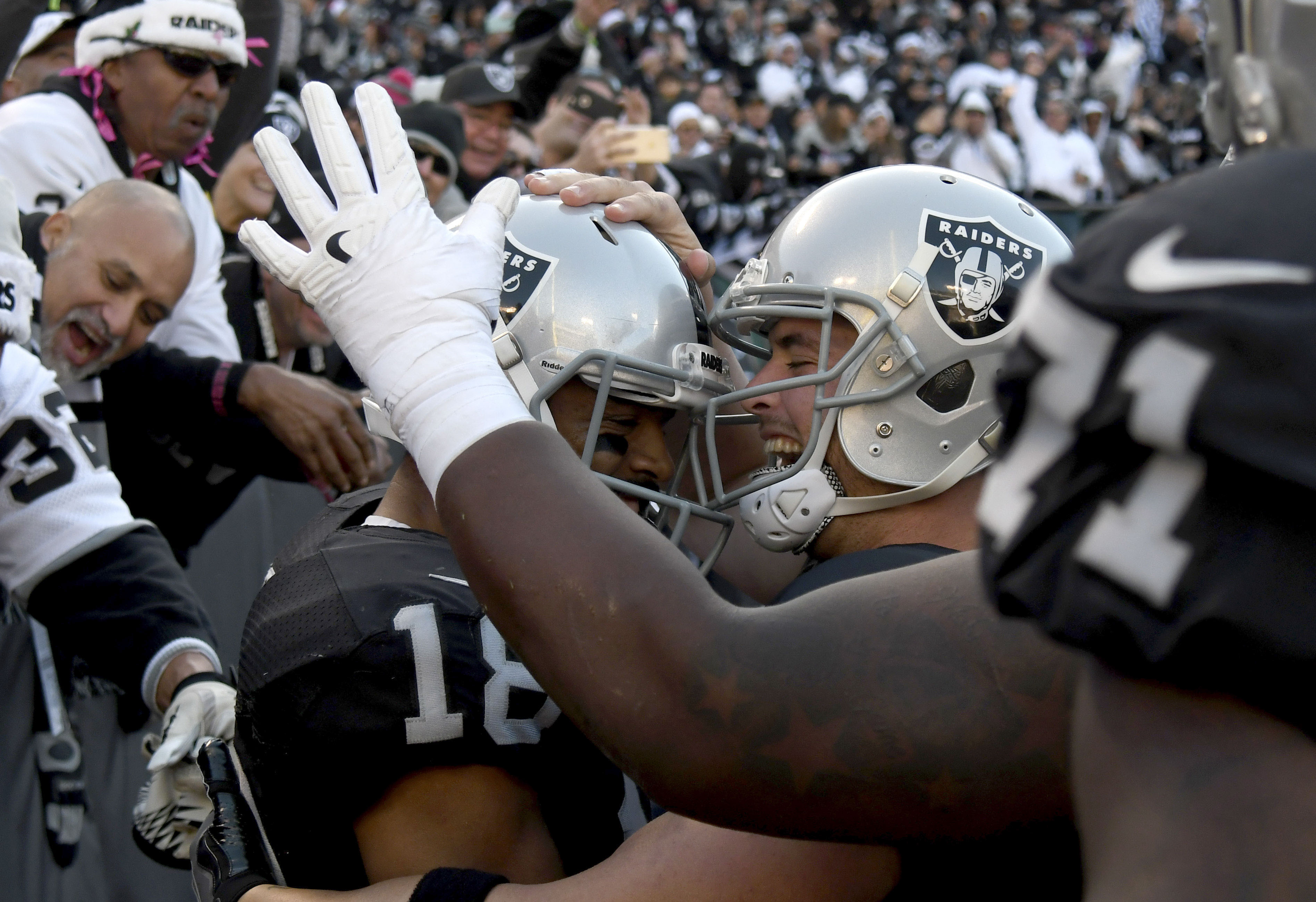 Oakland Raiders wide receiver Andre Holmes (18) during an NFL