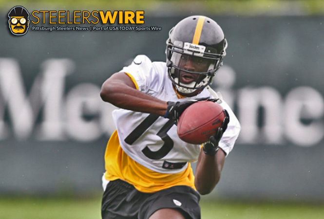 Pittsburgh Steelers wide receiver Devin Gardner (15) at practice during NFL  football training camp in Latrobe, Pa. on Saturday, Aug. 1, 2015 . (AP  Photo/Keith Srakocic Stock Photo - Alamy