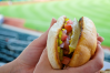 photo of a hot dog served chicago style