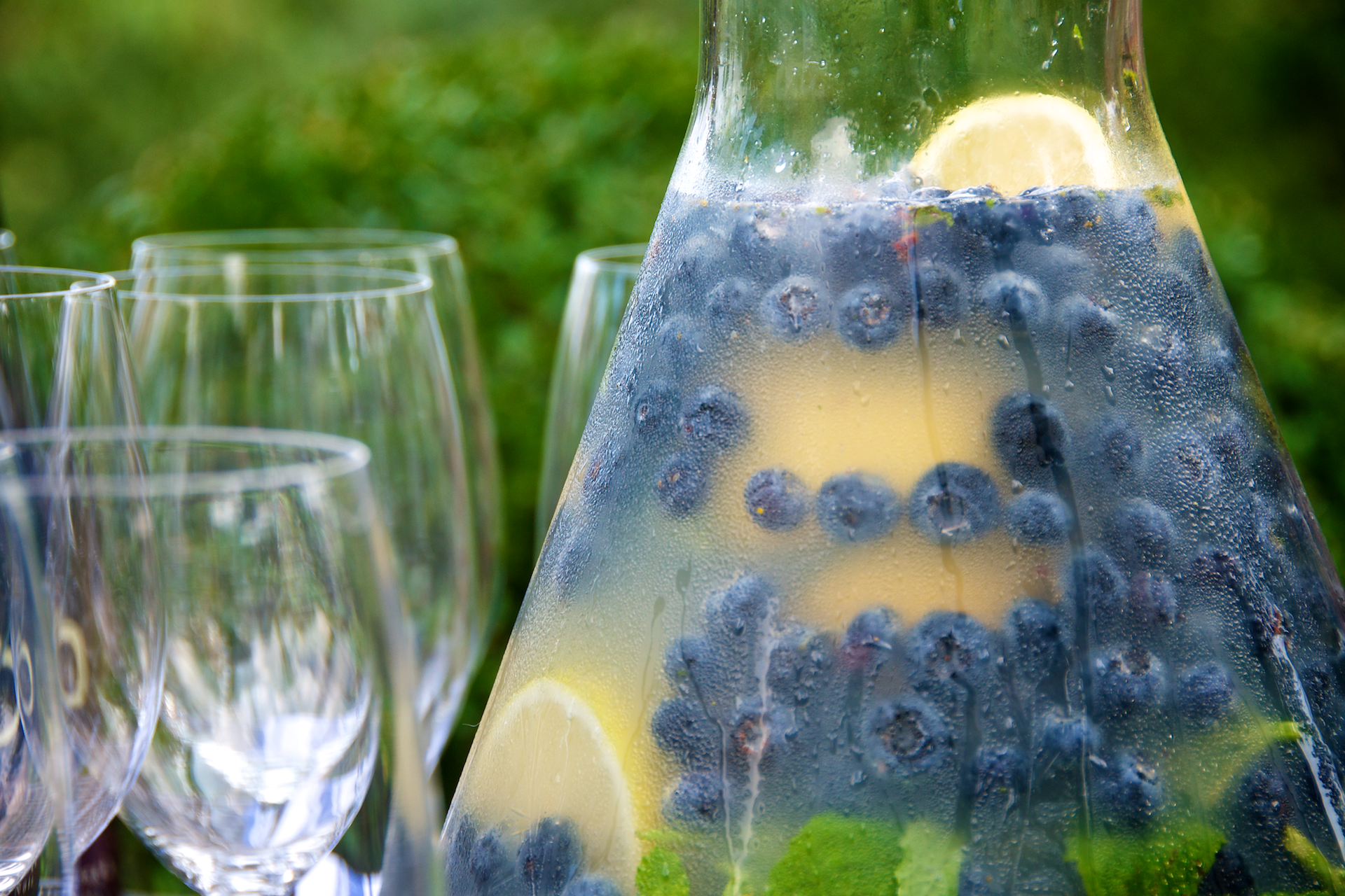 Blueberry Lemonade with Fresh Mint