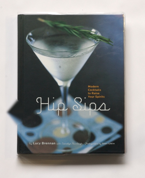 Hip Sips: Modern Cocktails to Raise Your Spirits