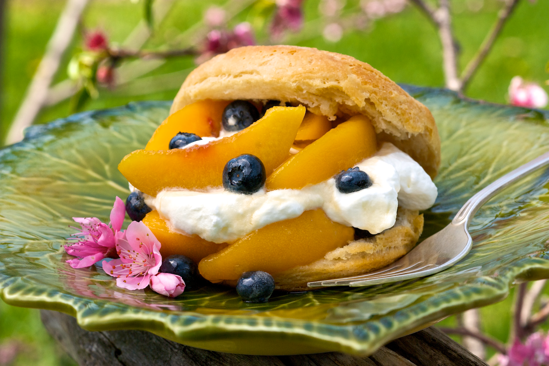 Light and airy, these biscuits are cake-like when they’re topped with cream and sugar, and then stuffed with bright peaches, blueberries, and pillows of whipped cream.