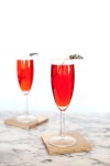 Prosecco Punch by Sparkling Ice