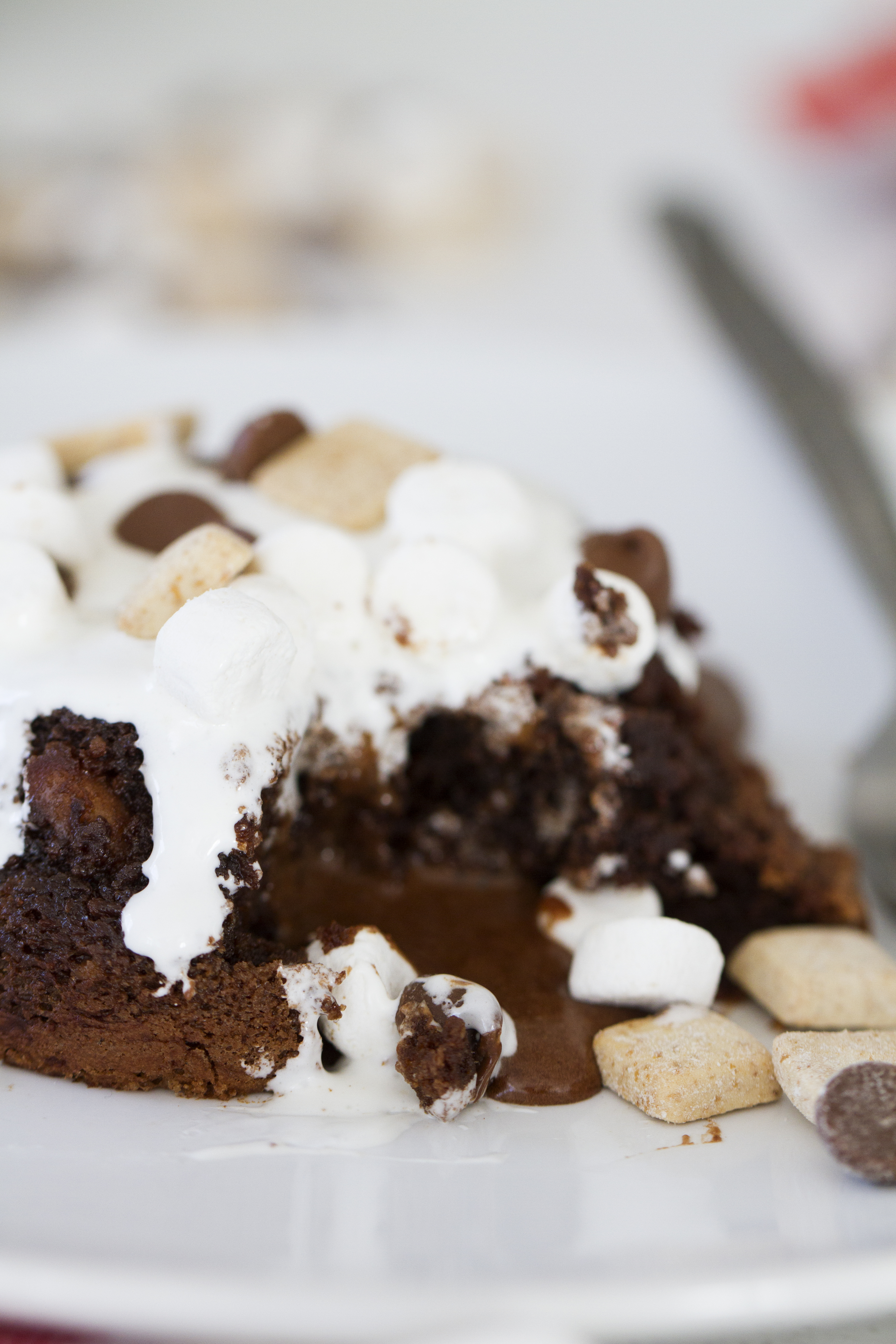 S'mores Molten Lava Cakes by Hershey's Kitchens in partnership with Taste & Tell