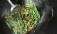 "A former coworker once scoffed at the idea that my dry-fried green beans could beat his broccoli salad at an office potluck party. Let’s just say that I left the office with an empty dish, and he didn’t. This recipe is Sichuanese in origin and involves blistering the green beans using a shallow frying method called gan bian, or "dry-frying".