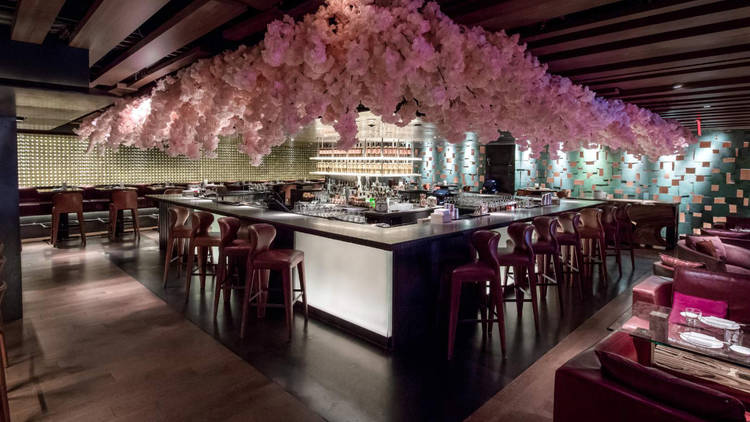 Cherry Blossom Installation In NYC — Zuma Restaurant Cherry Blossoms