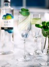 Muddle cucumber and mint in the sour mix. Add Van Gogh Vodka with ice and shake well. Strain into a chilled martini glass or flute, top with club soda. Garnish with a long thin strip of cucumber.