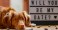 A dog lies in front of a sign that asks, will you be my Valentine?