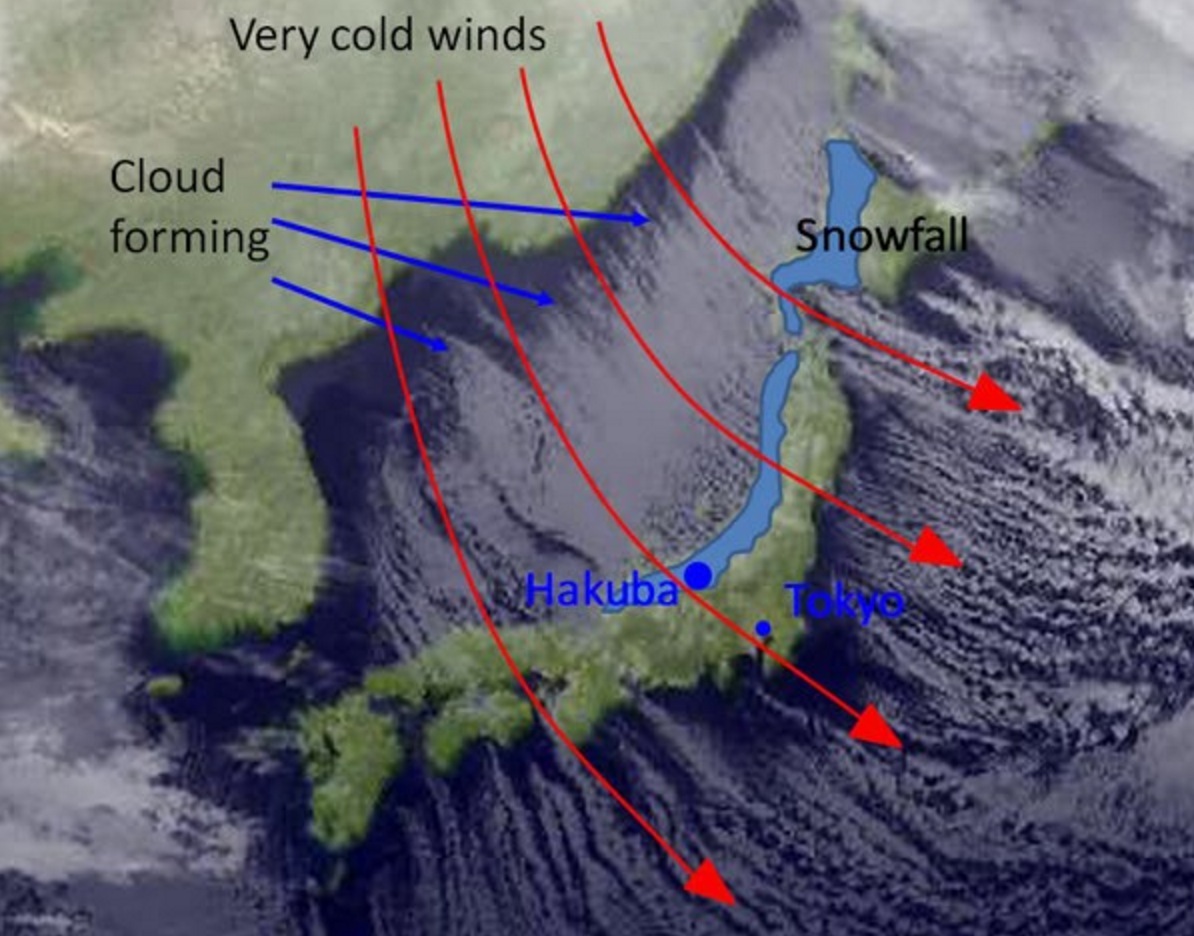 winter-weather-2025-predictions-in-usa-gloria-c-green