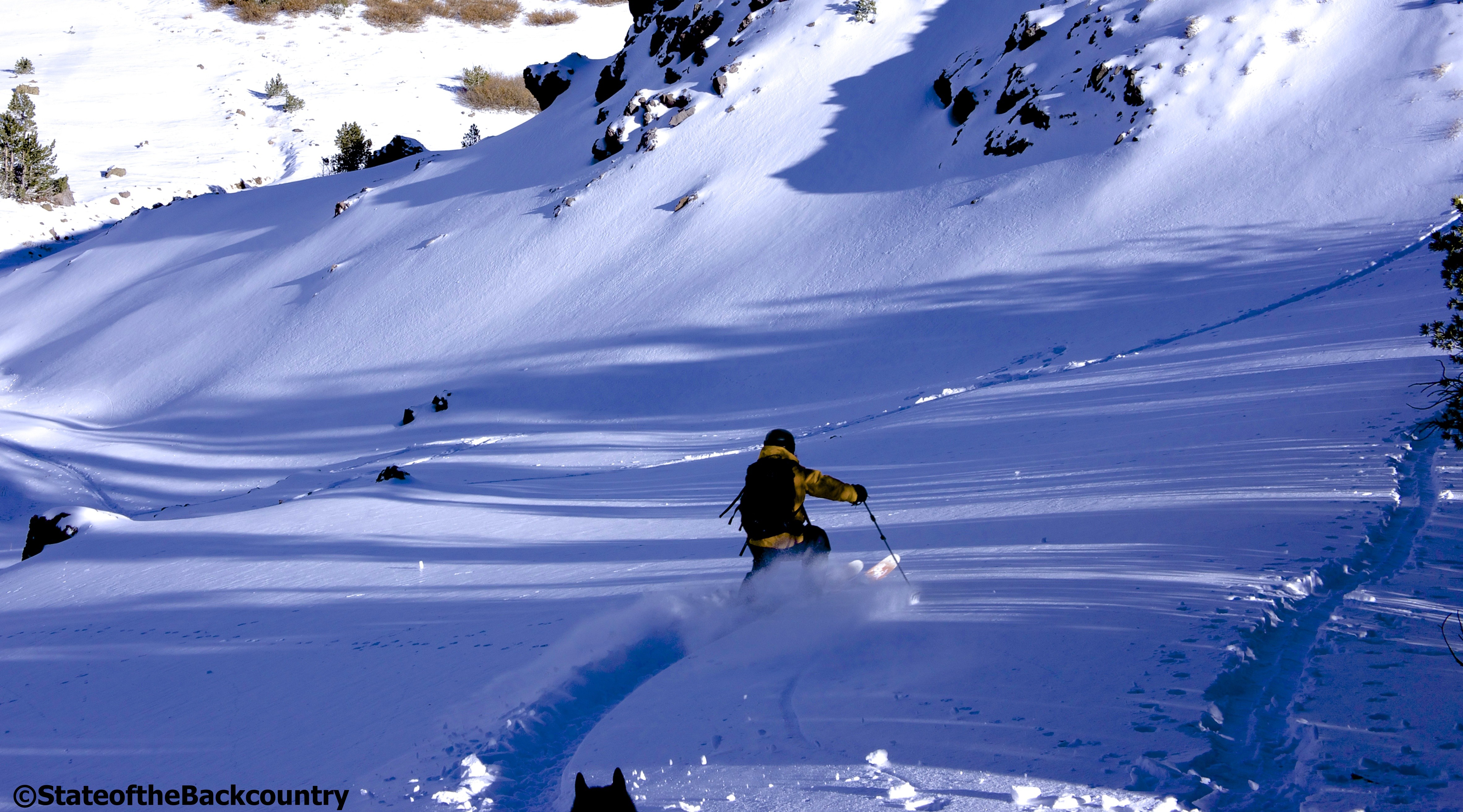 Olas the dog had as much fun chasing me through this early season powder as I had skiing it. 
