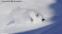 Imagine skiing snow like this in a perfectly walled couloir above the Arctic Circle. This was what every turn was like during our last run of the trip. Skier: Keoki Flagg