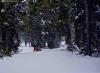 You just never know in Tahoe. I wish this snow would've come earlier, but there's no complaining when you're skinning and skiing through several inches of cold, fresh snow off Mt. Rose in mid May.