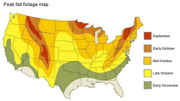 fall-foliage-map