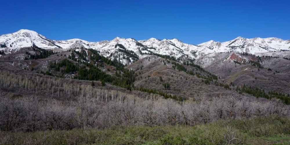 Wasatch-Peaks_spring-2-1024x512