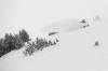 Mammoth Mountain Page Liked · November 10 · Pow slashes alllllllll morning long. Chris Benchetler had quite the day skiing the 20-36" of new snow.