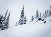 Photo Credit: Kicking Horse Facebook Page