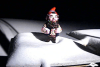 Gnorm the Powder Gnome