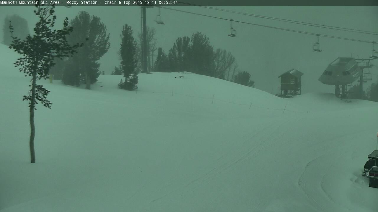 Mammoth 4