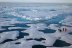 Photo Credit: Jeremy Potter NOAA/OAR/OER