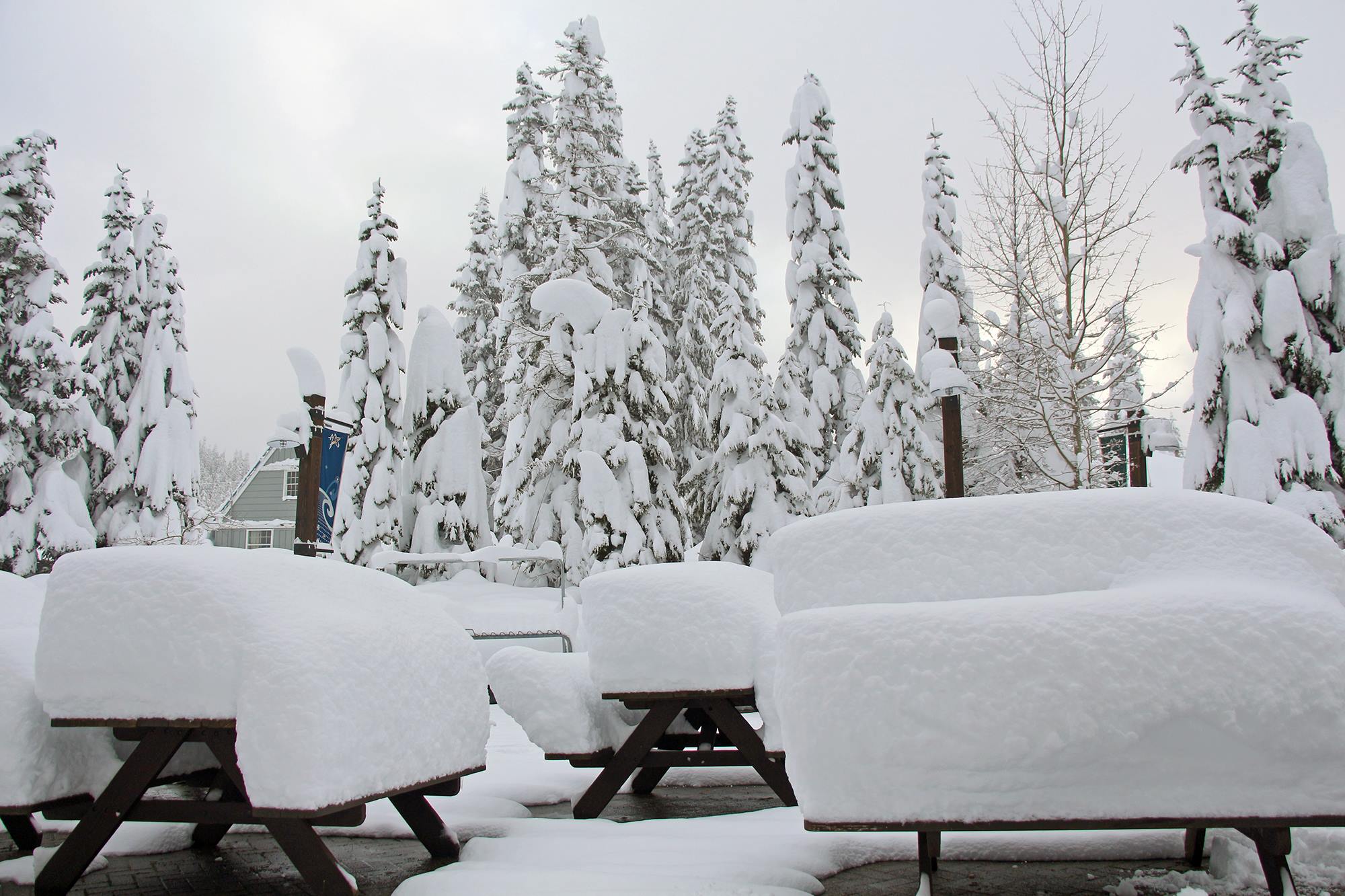 Photo Credit: The Summit At Snoqualmie Facebook Page